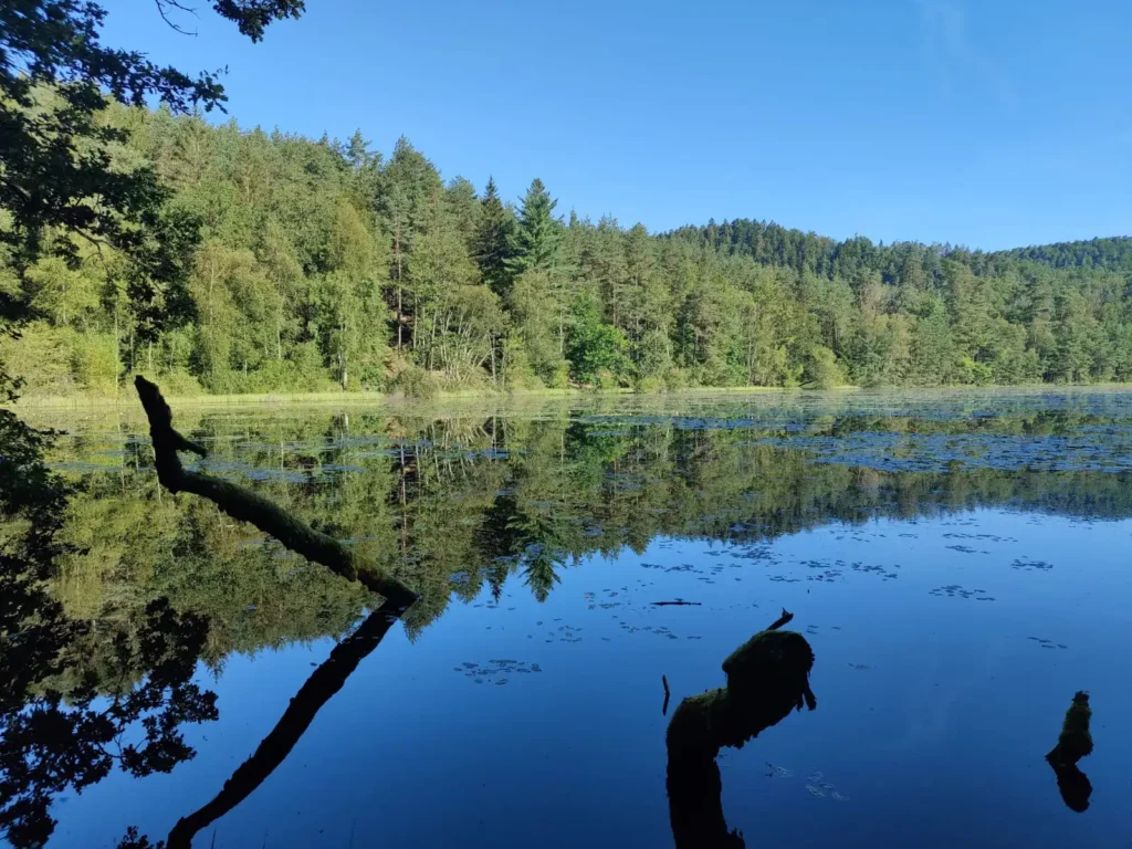 Trinkwasser bei meiner Wanderung in der Pfalz